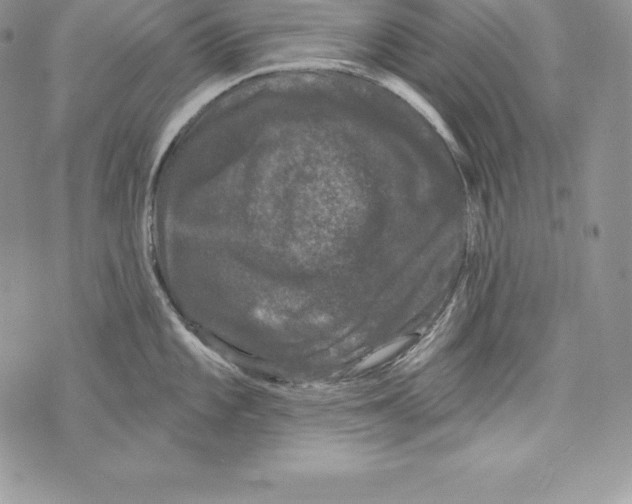 X0000071361101200607212116