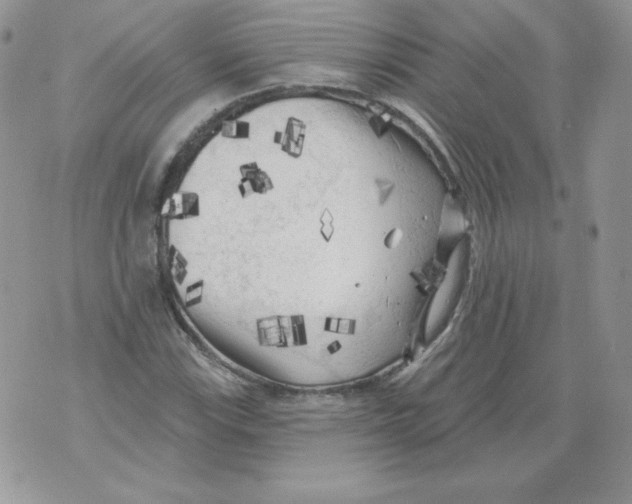 X0000071361115200607212115
