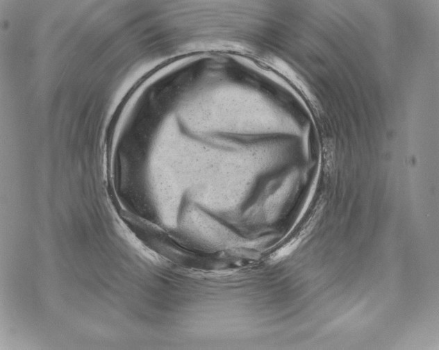 X0000071361140200607212116