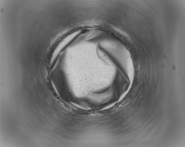X0000071361160200607212115