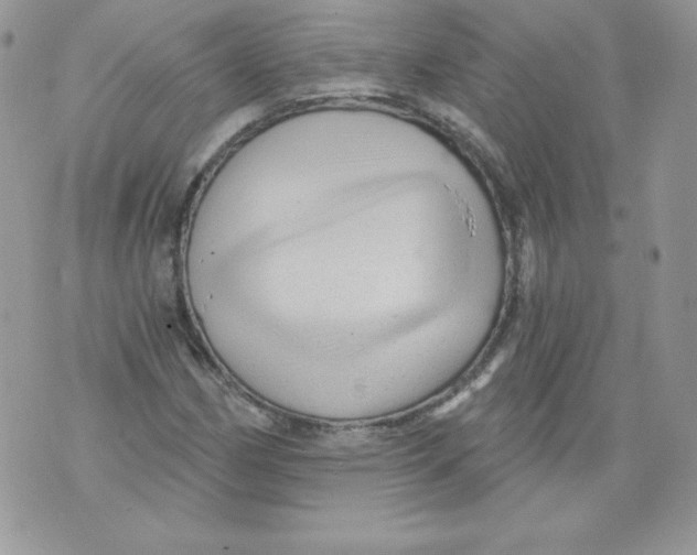X0000071361162200607212115