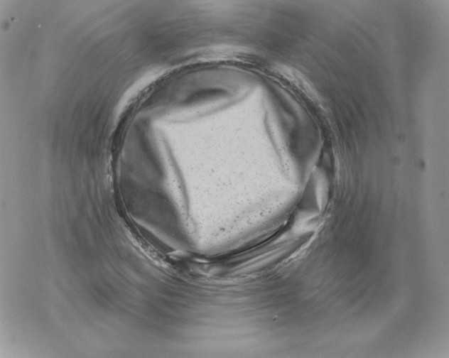 X0000071361164200607212115