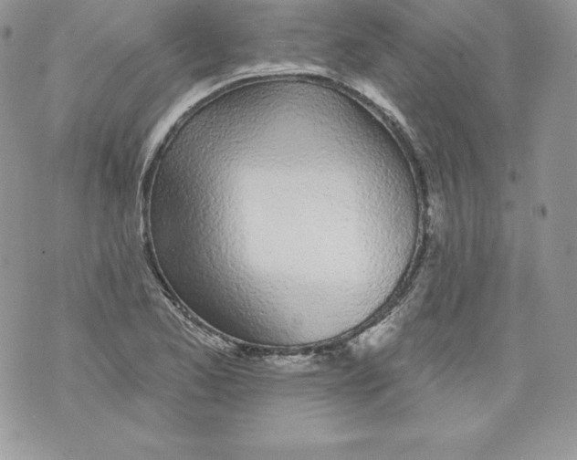 X0000071361173200607212115
