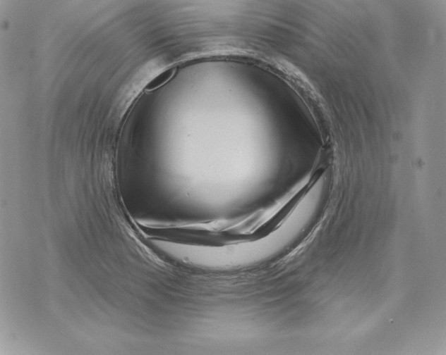 X0000071361177200607212115