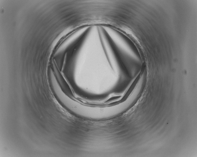 X0000071361181200607212115