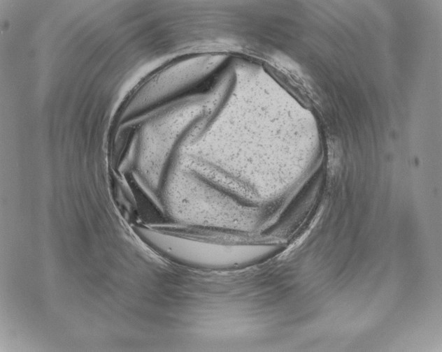 X0000071361184200607212115
