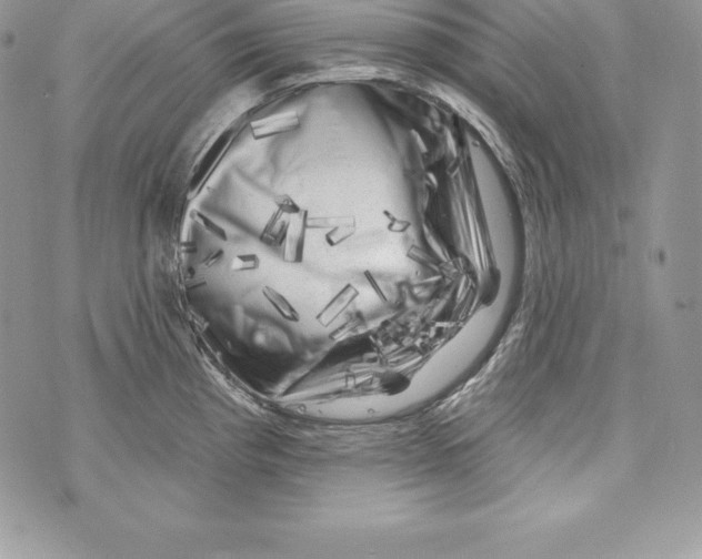 X0000071361193200607212115