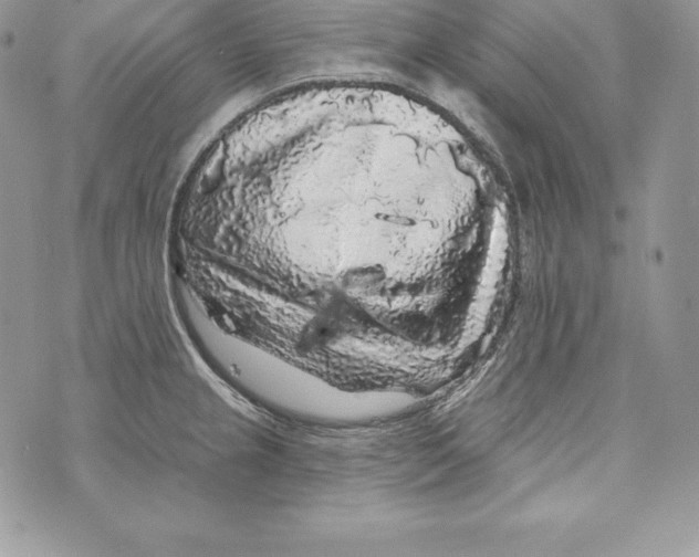 X0000071361237200607212114