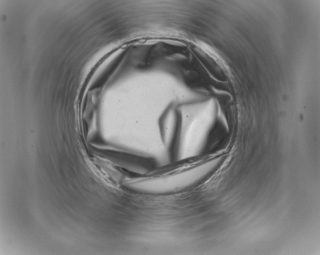 X0000071361238200607212114