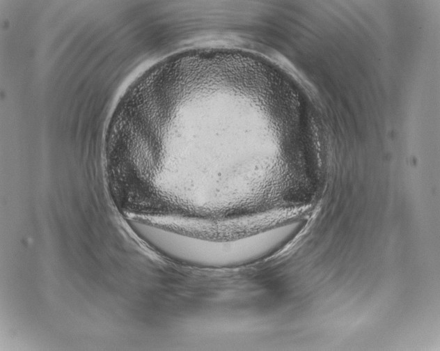 X0000071361240200607212114