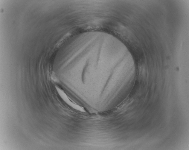 X0000071361250200607212114