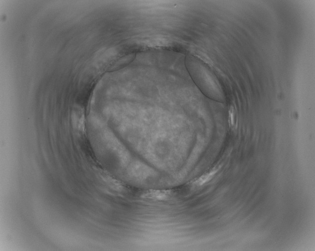 X0000071361251200607212114