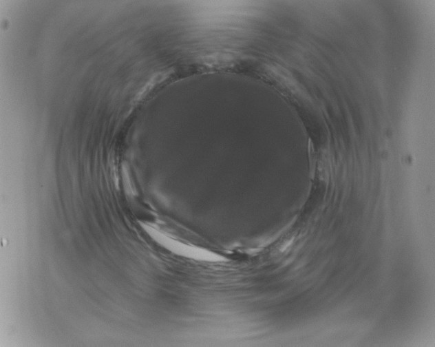 X0000071361298200607212112