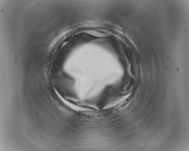 X0000071361304200607212112