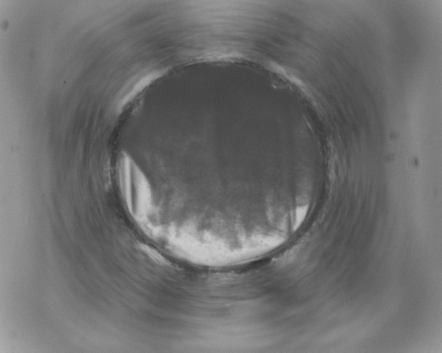 X0000071361306200607212112