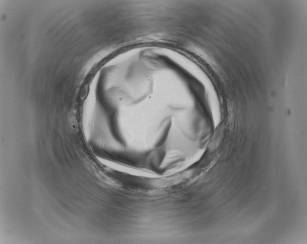 X0000071361308200607212112