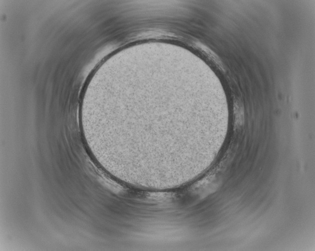 X0000071361322200607212113