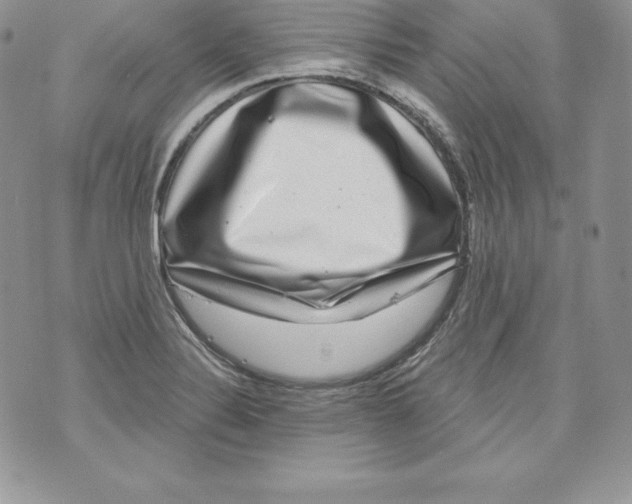X0000071361324200607212113