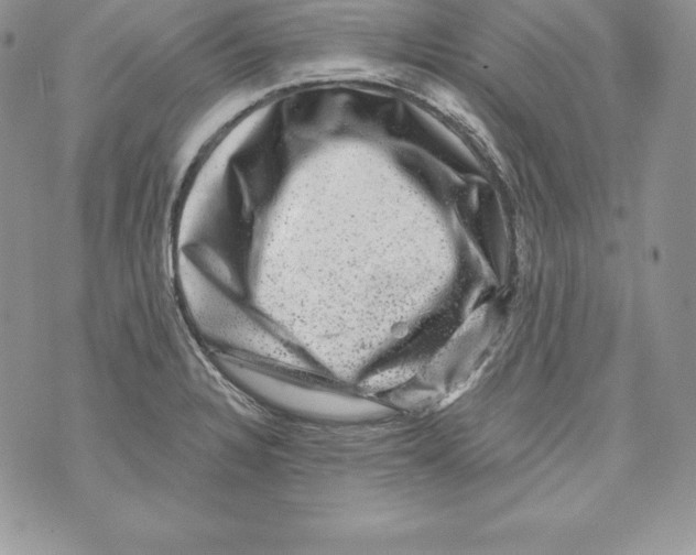 X0000071361328200607212113
