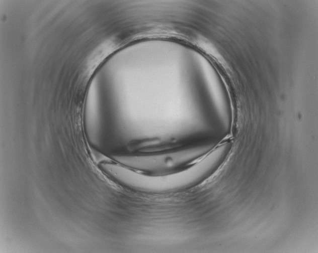 X0000071361329200607212113
