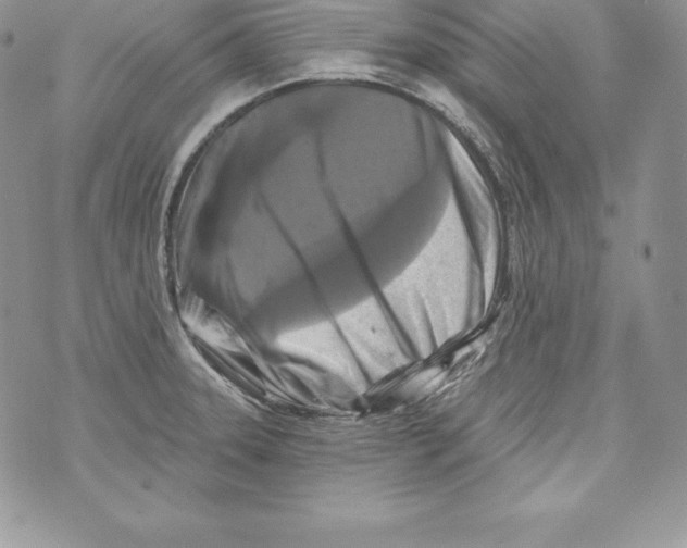 X0000071361331200607212113