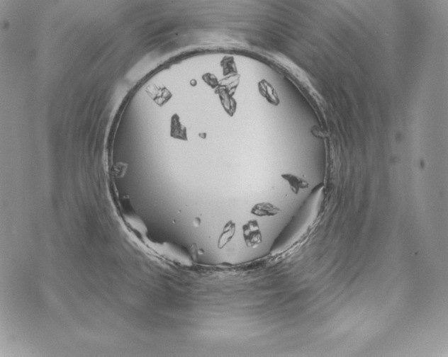 X0000071361335200607212113