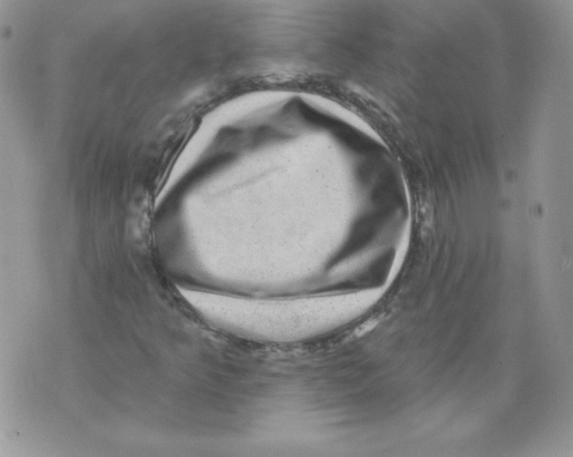 X0000071361349200607212112