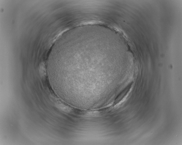 X0000071361353200607212112