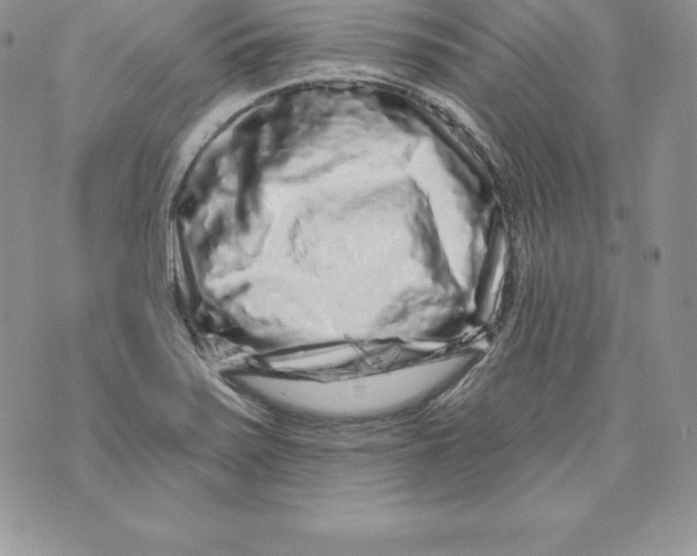 X0000071361371200607212112