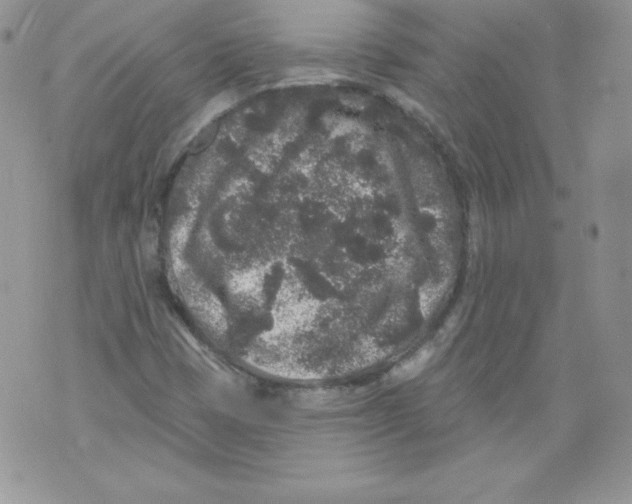 X0000071361401200607212111