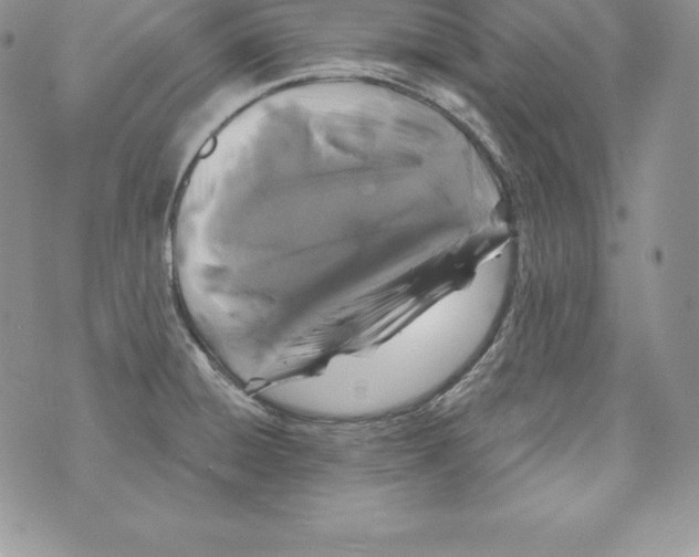 X0000071361428200607212111