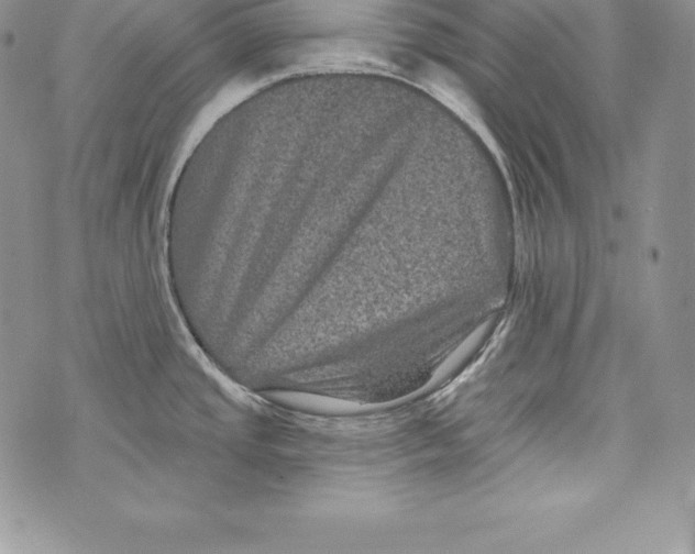 X0000071361437200607212111