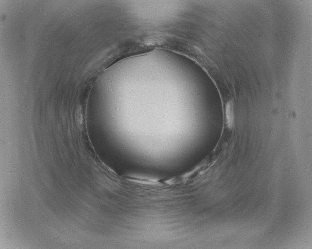X0000071361443200607212111