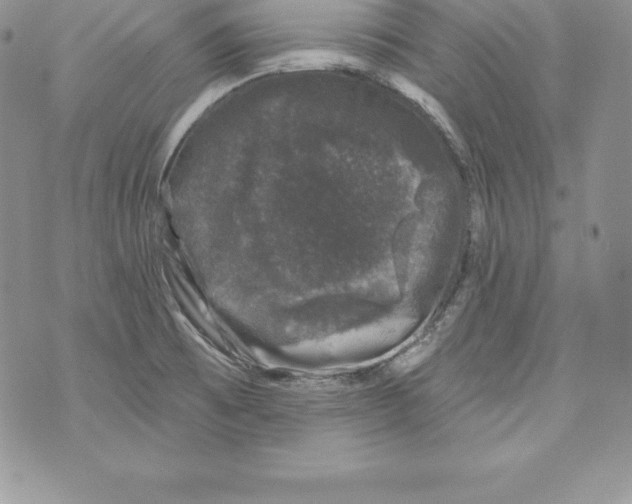 X0000071361473200607212110