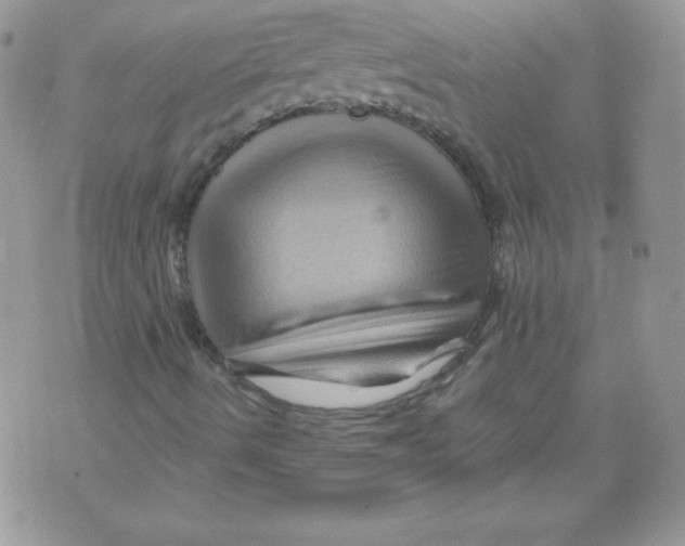 X0000071361490200607212109