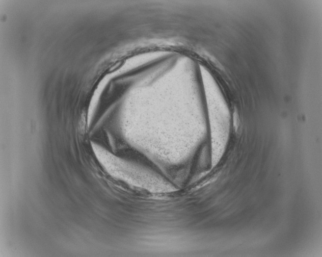 X0000071361492200607212109