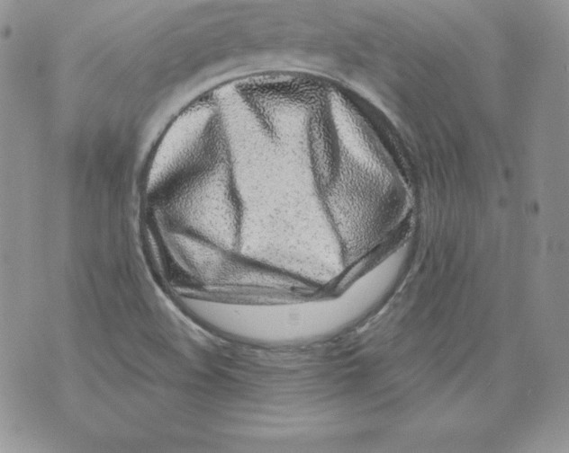 X0000071361508200607212109