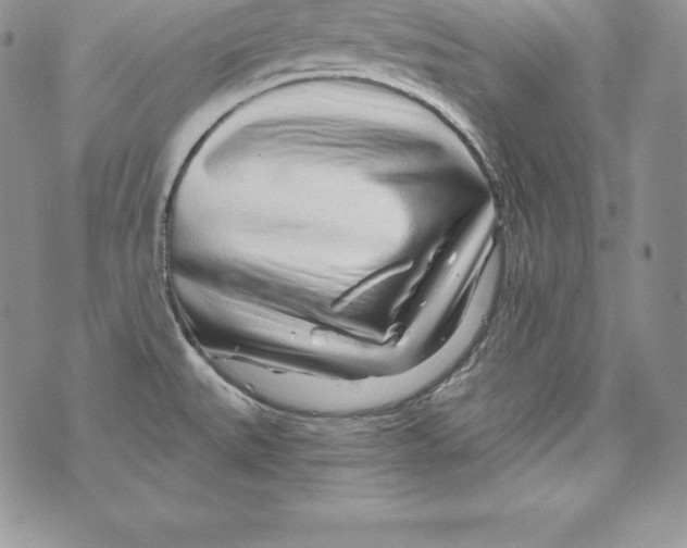 X0000071361527200607212110