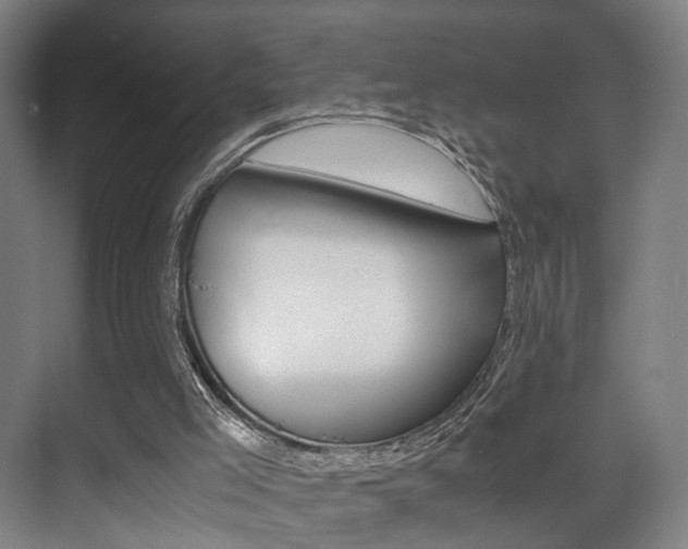 X0000071380005200606230926