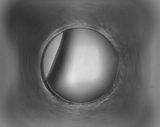 X0000071380007200606230926