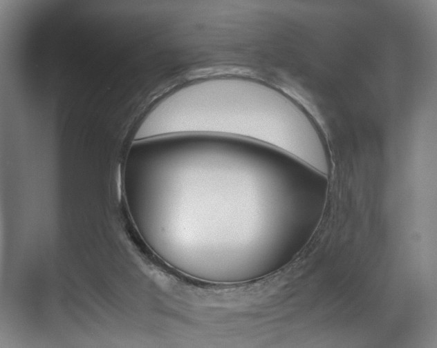 X0000071380013200606230926