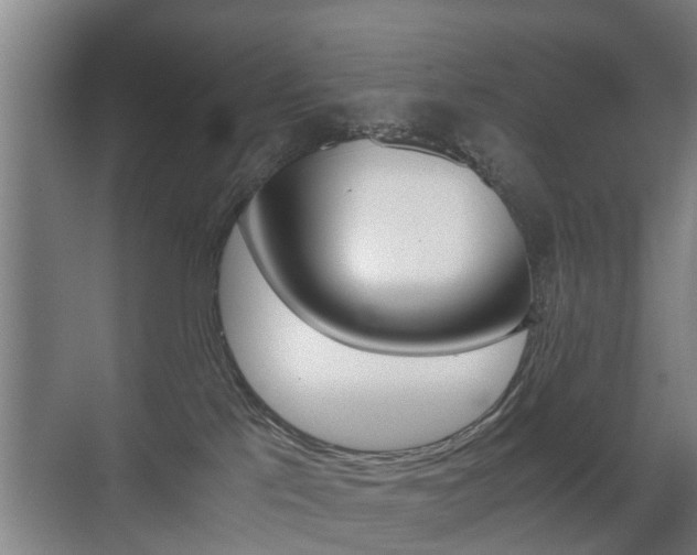X0000071380041200606230925