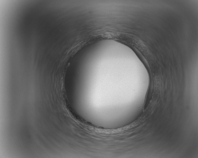X0000071380043200606230925