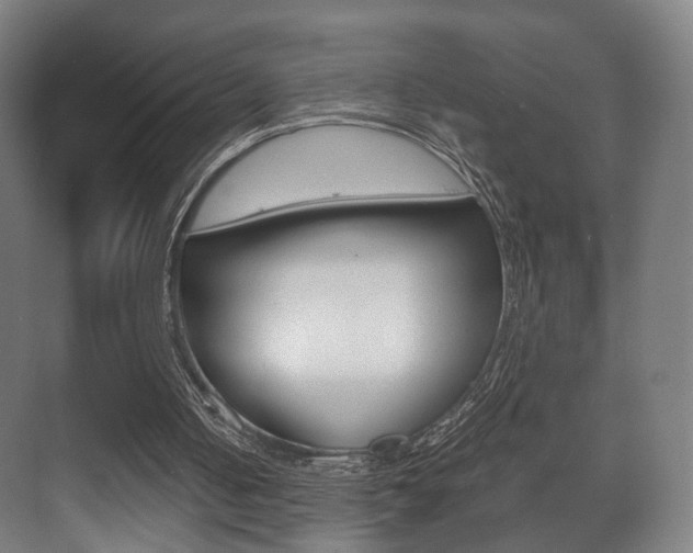 X0000071380050200606230924
