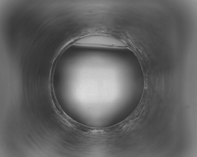 X0000071380052200606230924