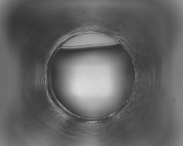 X0000071380054200606230924