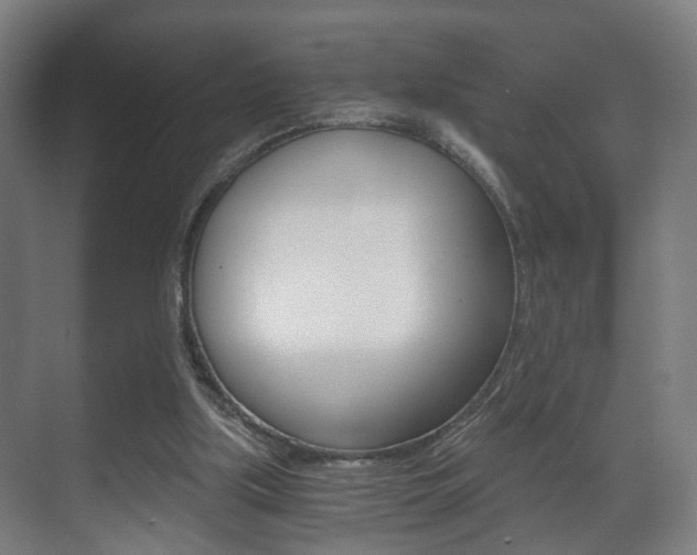 X0000071380059200606230924