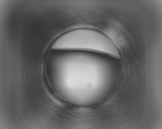 X0000071380063200606230924