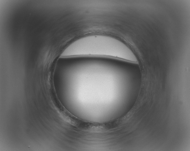 X0000071380066200606230924
