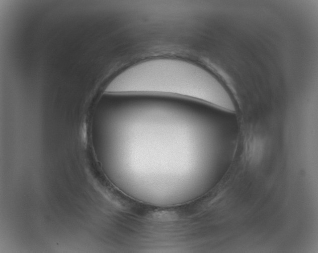 X0000071380067200606230924